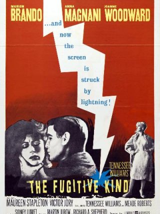 Locandina di Pelle di serpente (1960)