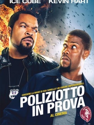 Locandina di Poliziotto in prova (2014)