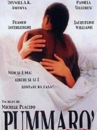 Locandina di Pummarò (1990)