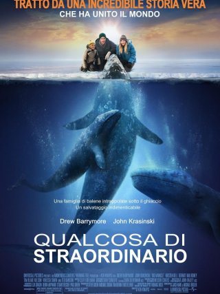 Locandina di Qualcosa di straordinario (2012)