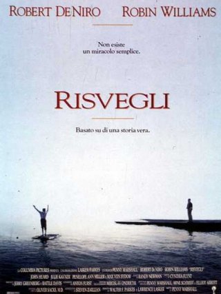 Locandina di Risvegli (1990)