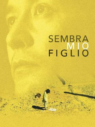 Locandina di Sembra mio figlio (2018)