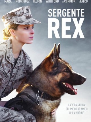 Locandina di Sergente Rex (2017)