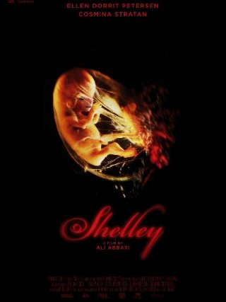 Locandina di Shelley (2016)