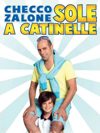 Locandina di Sole a catinelle (2013)