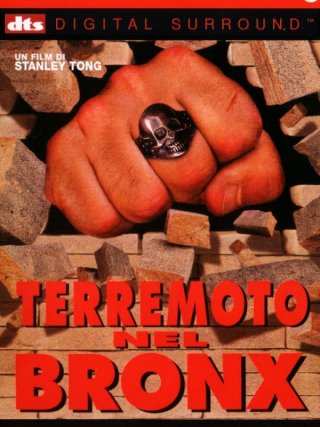 Locandina di Terremoto nel Bronx (1995)