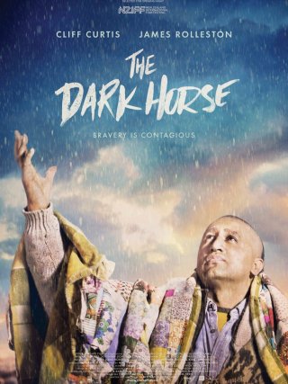 Locandina di The Dark Horse (2014)