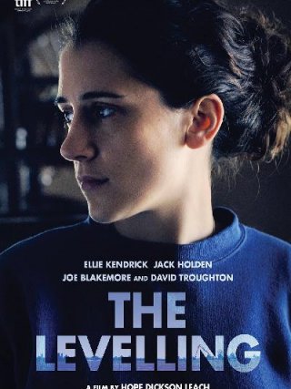 Locandina di The Levelling (2017)