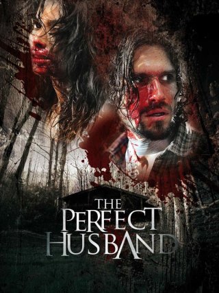 Locandina di The Perfect Husband (2014)