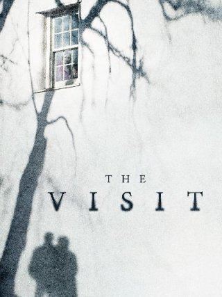 Locandina di The visit (2015)