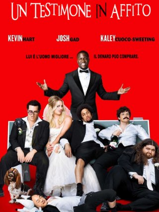 Locandina di The Wedding Ringer - Un testimone in affitto (2015)