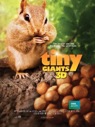 Locandina di Tiny Giants (2014)
