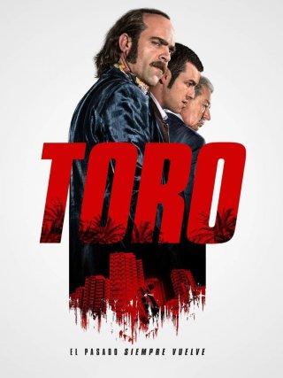 Locandina di Toro (2016)