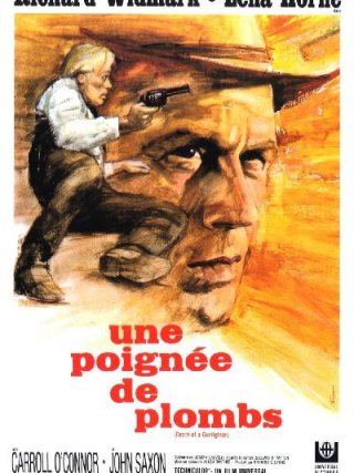 Locandina di Ultima notte a Cottonwood (1969)