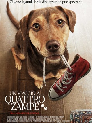 Locandina di Un viaggio a quattro zampe (2019)