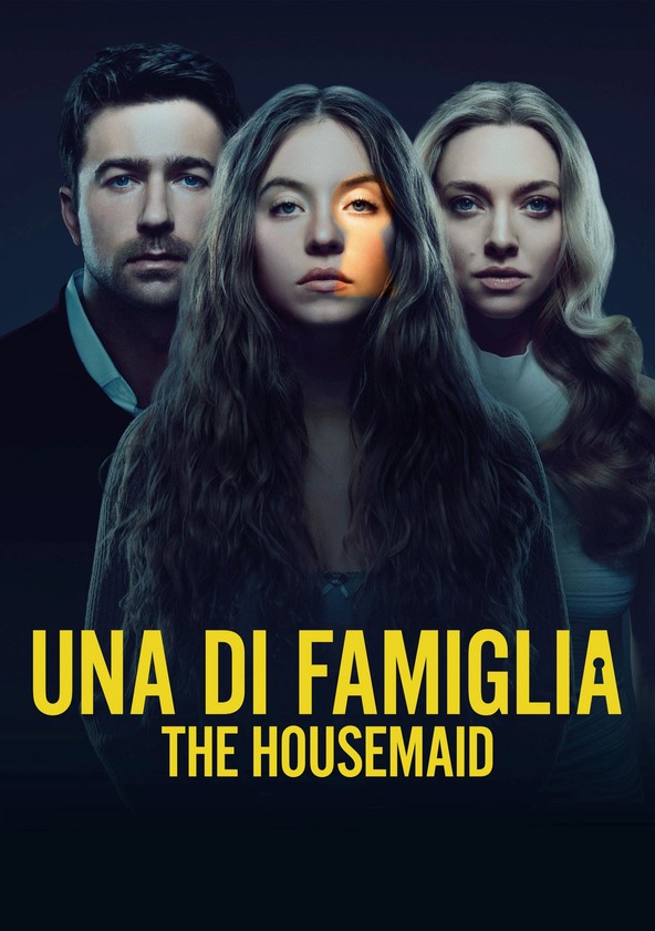Locandina di Una di famiglia (2025)