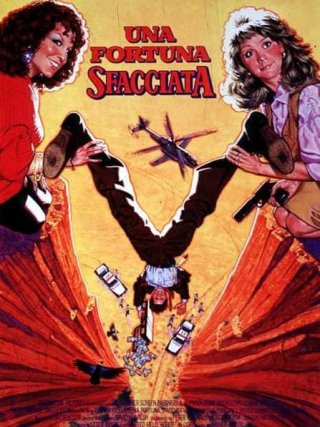 Locandina di Una fortuna sfacciata (1987)